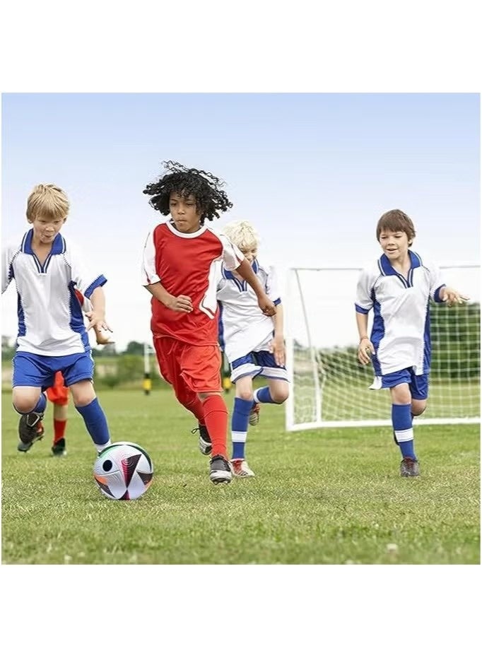 كرة قدم بريميوم، نسخة كرة كرة القدم/كرة الصالات يورو 2024، الحجم والوزن الرسمي، أداء عالي للعب داخل الصالات/الخارجية مع قبضة وتحكم ممتازين، كرة ذات جودة، الحجم 5 - Image 3